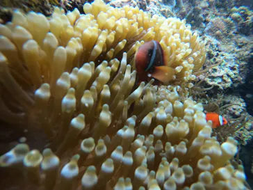 武藤潜水に投稿された画像（2023/5/1）