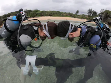 武藤潜水に投稿された画像（2023/5/1）