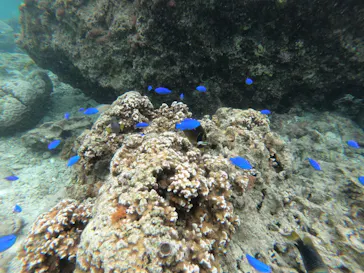 武藤潜水に投稿された画像（2023/5/1）