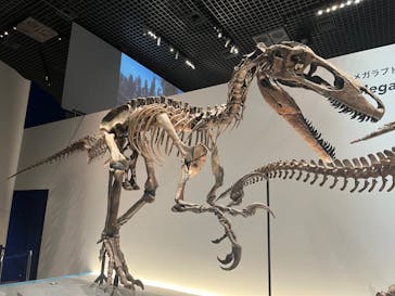 特別展「恐竜博2023」に投稿された画像（2023/5/1）