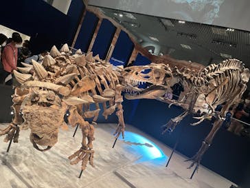 特別展「恐竜博2023」に投稿された画像（2023/5/1）