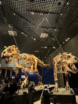 特別展「恐竜博2023」に投稿された画像（2023/5/1）