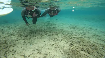 武藤潜水に投稿された画像（2023/5/1）