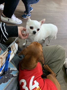 ワールド牧場に投稿された画像（2023/5/1）