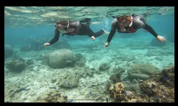 武藤潜水に投稿された画像（2023/5/1）