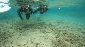 武藤潜水に投稿された画像（2023/5/1）