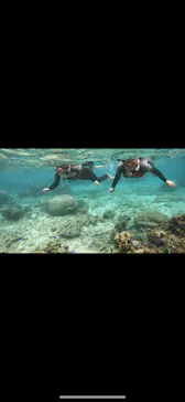 武藤潜水に投稿された画像（2023/5/1）