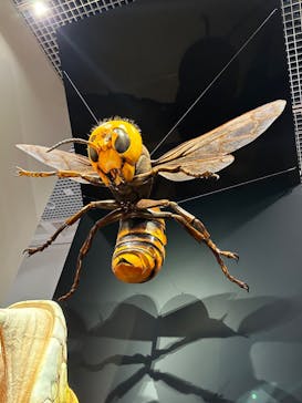 特別展「毒」に投稿された画像（2023/5/1）