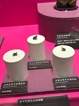 特別展「毒」に投稿された画像（2023/5/1）