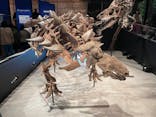 特別展「恐竜博2023」に投稿された画像（2023/5/1）