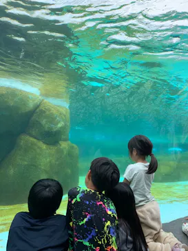 天王寺動物園に投稿された画像（2023/5/1）