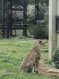 千葉市動物公園に投稿された画像（2023/5/1）