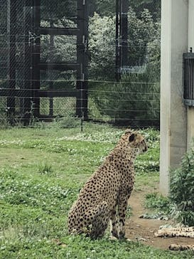千葉市動物公園に投稿された画像（2023/5/1）
