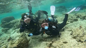 武藤潜水に投稿された画像（2023/5/1）