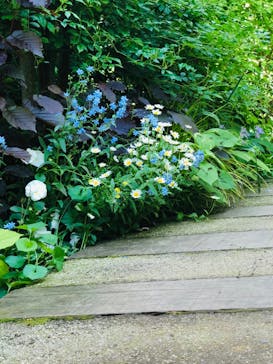 横浜イングリッシュガーデンに投稿された画像（2023/5/1）