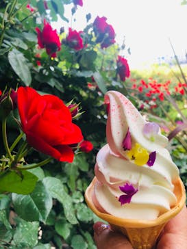 横浜イングリッシュガーデンに投稿された画像（2023/5/1）