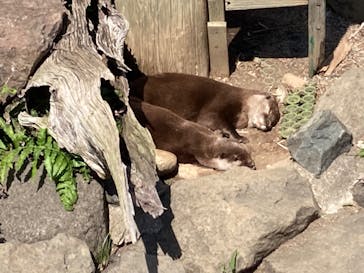 アロハガーデンたてやまに投稿された画像（2023/5/1）