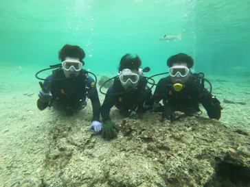 武藤潜水に投稿された画像（2023/5/1）