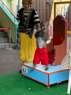 おさるランド＆アニタウン　日光さる軍団劇場に投稿された画像（2023/5/1）