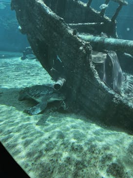 箱根園水族館に投稿された画像（2023/5/1）