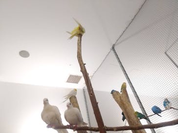 Moff アニマル カフェ イーアス 高尾店に投稿された画像（2023/5/1）