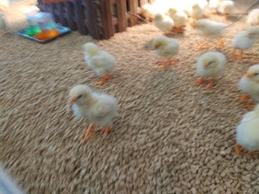 Moff アニマル カフェ イーアス 高尾店に投稿された画像（2023/5/1）