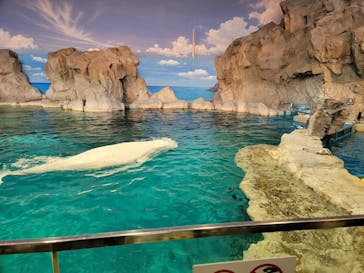 名古屋港水族館に投稿された画像（2023/5/1）