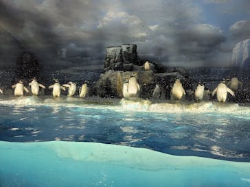 名古屋港水族館に投稿された画像（2023/5/1）