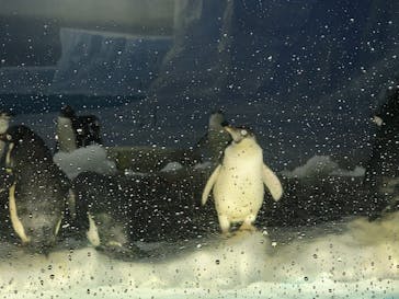 名古屋港水族館に投稿された画像（2023/5/1）