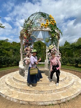 京成バラ園に投稿された画像（2023/5/1）