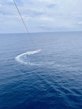 Sea World（シーワールド）に投稿された画像（2023/5/1）