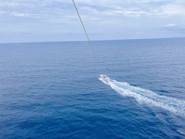 Sea World（シーワールド）に投稿された画像（2023/5/1）