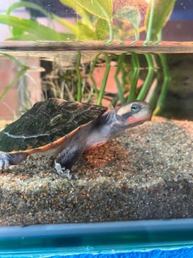 名古屋港水族館に投稿された画像（2023/5/1）