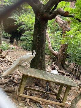 ネオパークオキナワに投稿された画像（2023/5/1）