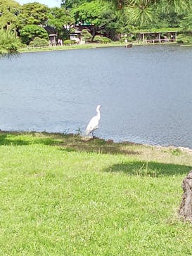 三溪園に投稿された画像（2023/5/1）