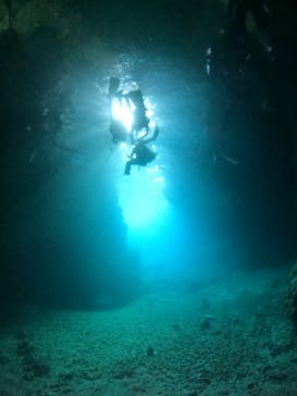 沖縄マリンサービス碧に投稿された画像（2023/5/1）