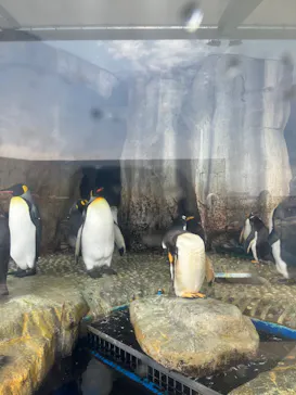 仙台うみの杜水族館に投稿された画像（2023/5/1）