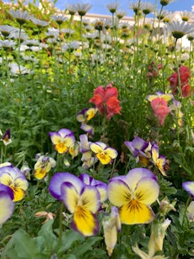 よこはま動物園ズーラシアに投稿された画像（2023/5/1）