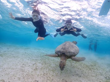 ちゃこたびに投稿された画像（2023/5/1）