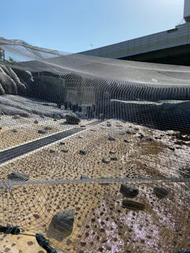 天王寺動物園に投稿された画像（2023/5/1）