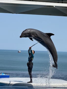 上越市立水族博物館 うみがたりに投稿された画像（2023/5/1）