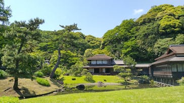 三溪園に投稿された画像（2023/5/1）