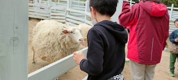 NESTA RESORT KOBE（ネスタリゾート神戸）に投稿された画像（2023/5/1）