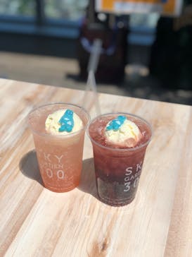 ハルカス300(展望台)に投稿された画像（2023/5/1）