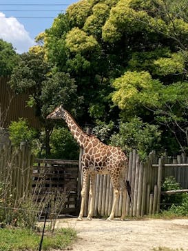 到津の森公園に投稿された画像（2023/5/1）