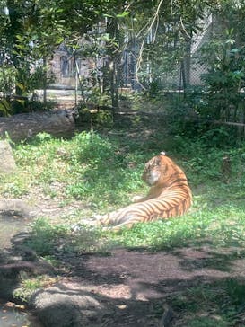 到津の森公園に投稿された画像（2023/5/1）
