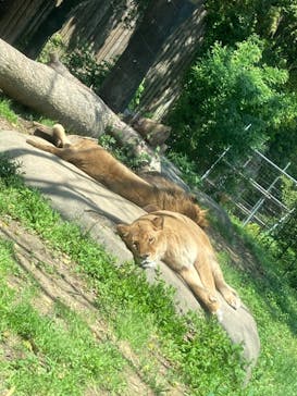 到津の森公園に投稿された画像（2023/5/1）