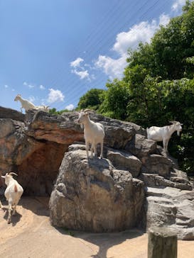 到津の森公園に投稿された画像（2023/5/1）