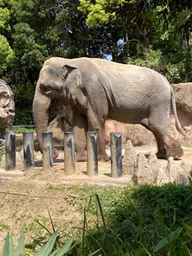 到津の森公園に投稿された画像（2023/5/1）