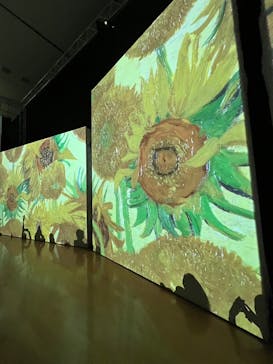 ゴッホ・アライブ神戸に投稿された画像（2023/5/1）